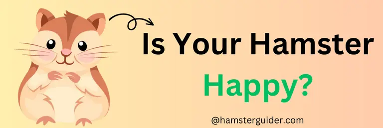 Is Your Hamster Happy