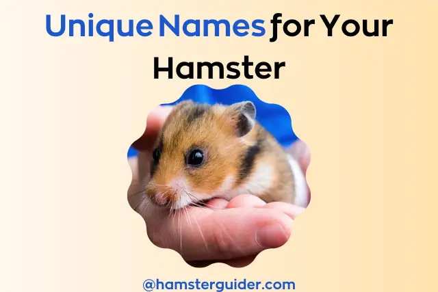 unique hamster names