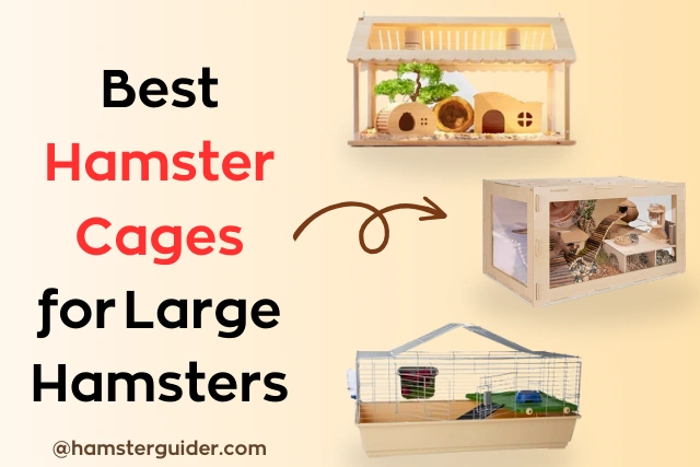 Best Hamster Cages
for Large Hamsters
