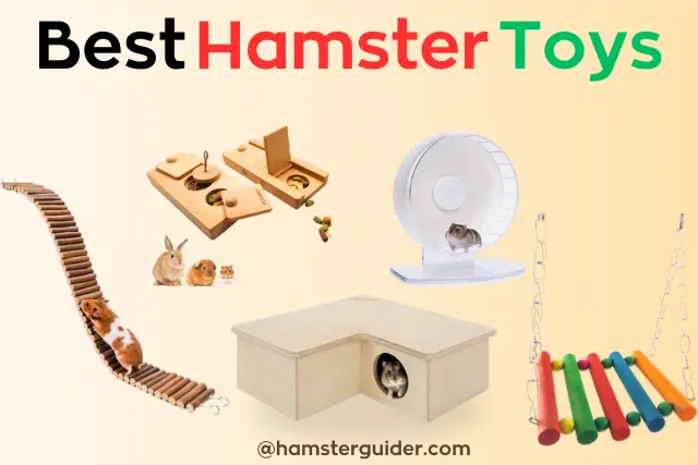 best hamster toys treat dispenser, ladder, running wheel, etc.