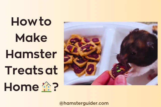 make hamster treats at home