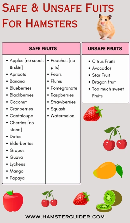 safe and unsafe fruits list for hamsters