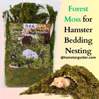 forest moss for hamster nesting material