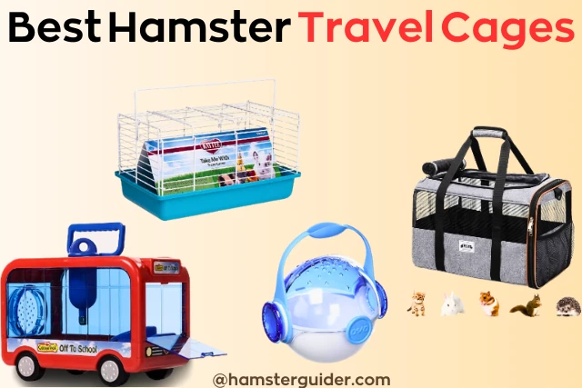 best hamster travel cages for transport your hamster safely