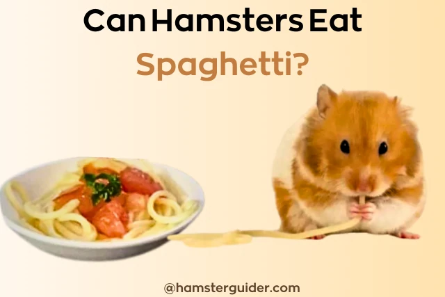 can hamsters eat spaghetti