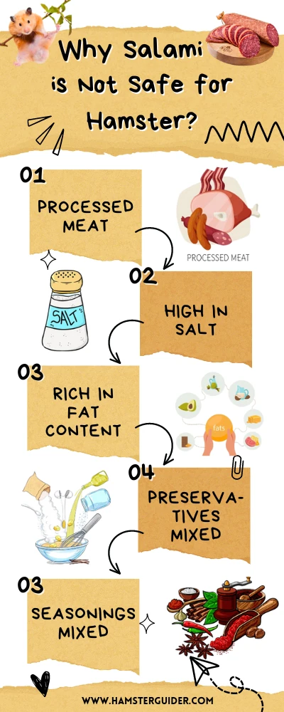 why salami is not safe for hamsters infographics